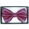 Hot Pink Striped Adult Bow Tie -Disney Sales BSA8360Z 54618 22905.1592489356