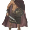 Spartan Warrior Costume -Disney Sales C1023Z 80032 31023.1592486376