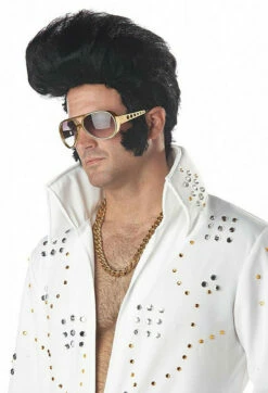 Elvis Black Wig