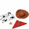 Toy Story Woody Accessory Kit -Disney Sales D18087Z 05006.1607619975