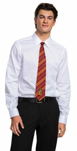 Harry Potter Gryffindor Tie -Disney Sales DA108109 Azfull 99313.1597358782