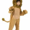 Cuddly Lion Costume -Disney Sales FD116911Z 98435 05699.1592489350