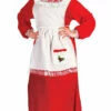 Mrs. Claus Plus Size Costume
