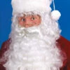 Santa Wig & Beard Set -Disney Sales FDW7520Z 69266 51028.1592486795