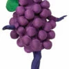 Purple Grapes Adult Costume -Disney Sales FN74157Z 73024 87825.1595968099
