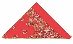 Cowboy's Red Bandana