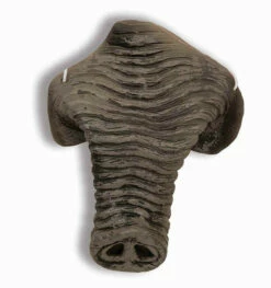 Cocomelon Elephant Nose
