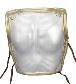 Knight Chest & Back Piece -Disney Sales HMA744155ZBackPlate 31414.1593989830