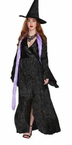 Wicked Witch Women Black Premium Costume