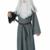 The Hobbit Gandalf Wizard Boy Costume -Disney Sales R881459Z 98494 75046.1592489262