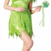 Disney Tinkerbell Neverland Fairy -Disney Sales api18fut8 92685.1642019319