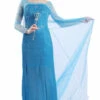Frozen Elsa Snow Princess Woman Costume -Disney Sales api9i50ad 83678.1641920622