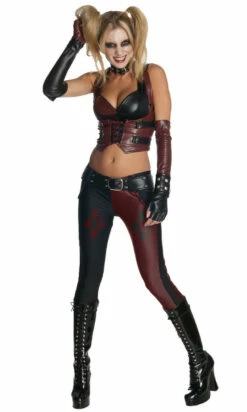 Harley Quinn Batman Arkham City Adult Costume