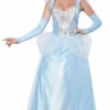 Cinderella Womens Princess Costume