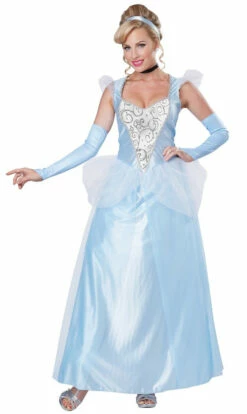 Cinderella Womens Princess Costume