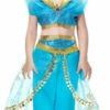 Aladdin's Princess Jasmin Girl Costume -Disney Sales apifleqnj 67109.1641914920