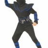 Blue Ninja Costume -Disney Sales apifqzhjh 65235.1642015417