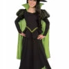 Wicked Witch Of The West Costume -Disney Sales apihvinhr 15022.1642005220