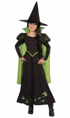 Wicked Witch Of The West Costume