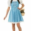 Dorothy Wizard Of OZ Costume -Disney Sales apikam8h6 58708.1642006118