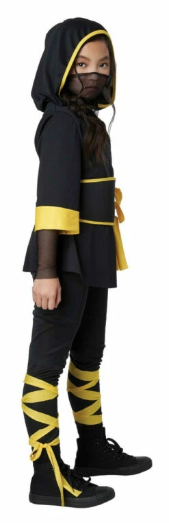 Cobra Ninja Girl Costume -Disney Sales apimv7rer 22344.1642012717