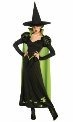 Wizard Oz Wicked Witch Costume