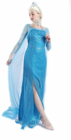 Frozen Elsa Snow Princess Woman Costume -Disney Sales apird3vnh 61241.1641920622
