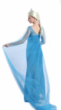 Frozen Elsa Snow Princess Woman Costume -Disney Sales apisvr9kx 89282.1641920622