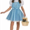 Deluxe Child Dorothy Costume -Disney Sales apixjhkqv 88763.1642005520
