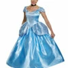 Cinderella Prestige Adult Costume 1 Cinderella Prestige Adult Costume -Disney Sales apizvwvmr 70443.1642019626
