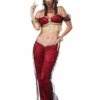 Aladdin Dreamy Genie Womens Belly Dancer Costume -Disney Sales c1334z 94625.1592310686