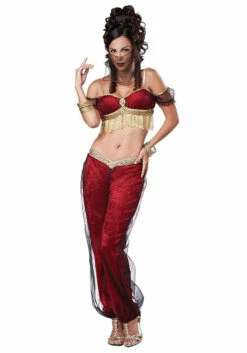 Aladdin Dreamy Genie Womens Belly Dancer Costume