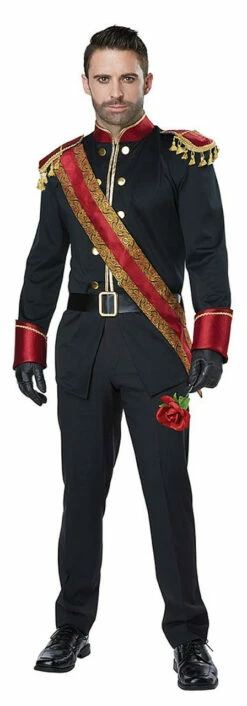 Disney Dark Prince Charming Costume