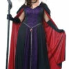 Disney Evil Queen Plus Costume -Disney Sales c1789z 67335.1592308591
