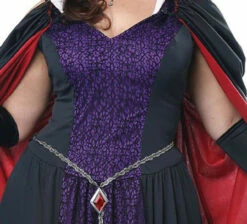 Disney Evil Queen Plus Costume -Disney Sales c1789z 75463.1613940352