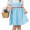 Dorothy Of Oz Toddler Costume 1 Dorothy Of Oz Toddler Costume -Disney Sales c181z 54175.1592310938