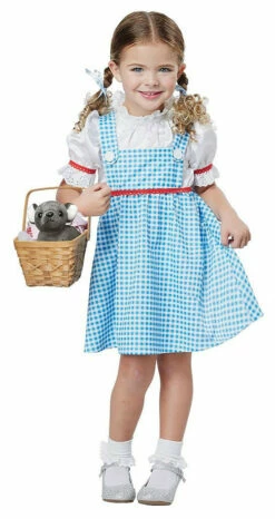 Dorothy Of Oz Toddler Costume