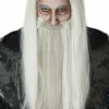 Dark Wizard Wig -Disney Sales cw70900z 21474.1592310864
