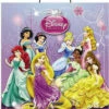 Disney Princess Treat Bag -Disney Sales da63246z 53558.1592311037