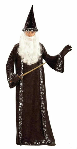 Oh Mr. Wizard Costume