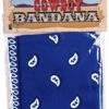 Blue Bandana -Disney Sales fna51674z 98832.1592266475