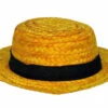 Adult Skimmer Straw Hat -Disney Sales fna66172z 21211.1592268655