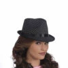 Black Pin Stripe Fedora -Disney Sales fna67356z 91271.1592311732