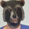 Brown Raccoon Mask -Disney Sales hma701050z 45932.1592310845