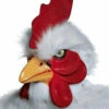 White/Red Rooster Mask