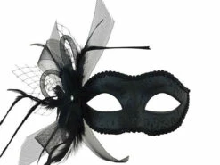 Mask With Feather And Veil - Black