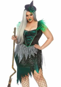 Wicked Witch Plus Woman Costume