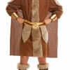 Viking Adult Mens Costume