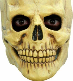 Skull Full Latex Mask -Disney Sales media 08179.1628088517