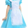 Alice In Wonderland Dress Girls Costume -Disney Sales media 10752.1623863335